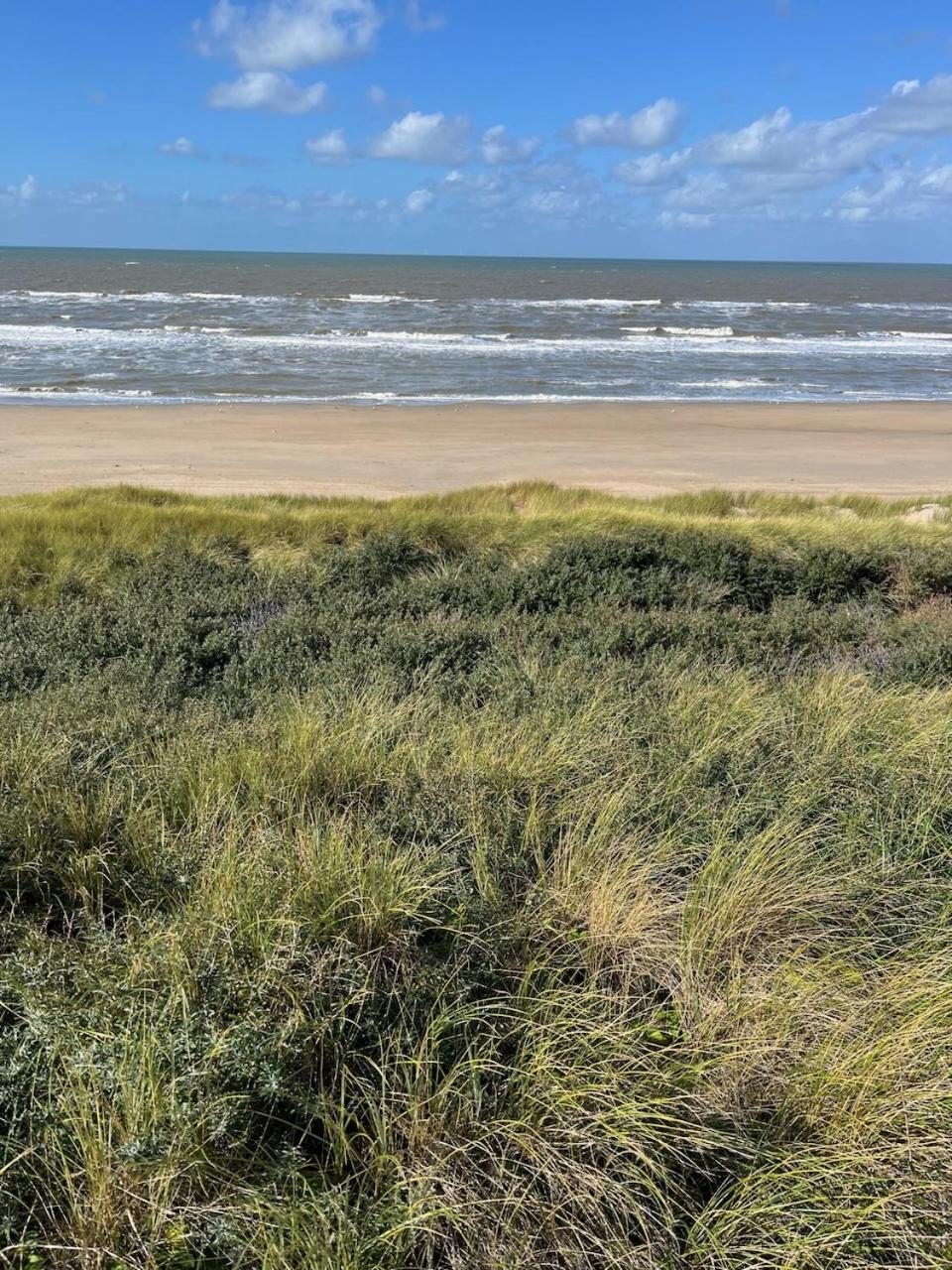 Studio34 Zandvoort Free Parking エクステリア 写真